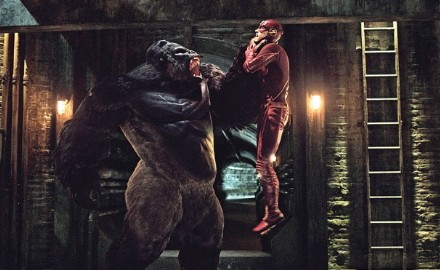 the-flash-gorila-grodd