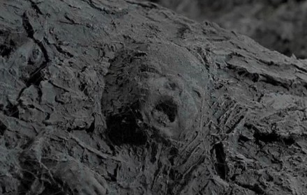 la-tutora-arbol