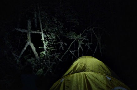 blair-witch-bosque