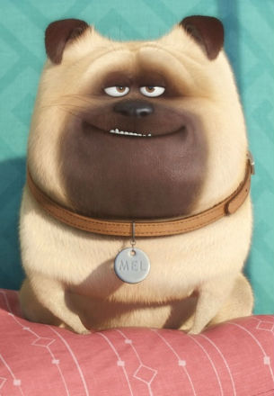 Tráiler mundial de Mascotas