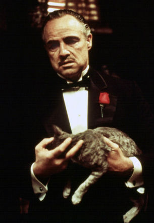 Francis y El Padrino