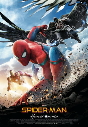 La telaraña del éxito