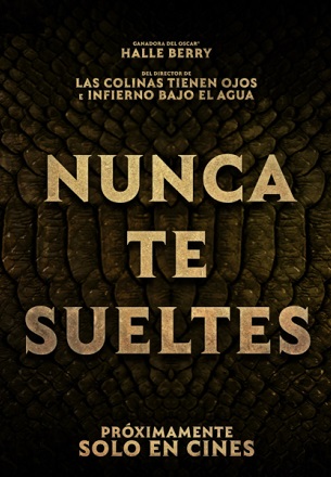 Primer vistazo a Nunca te sueltes